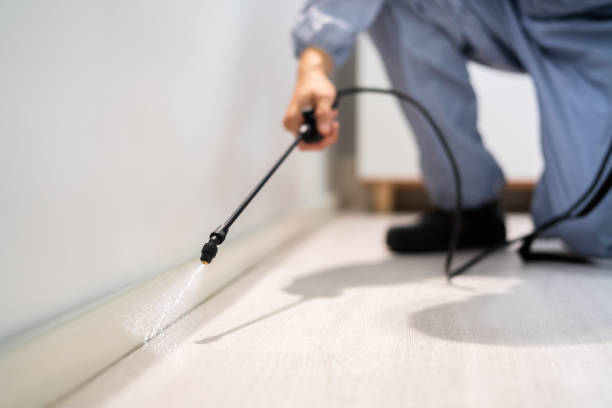 Certified termite inspector examining foundation in Lake Monticello
