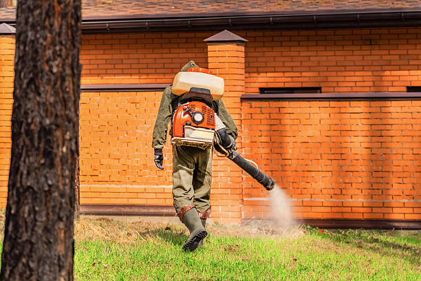 Top rated local Wasp Removal specialists in Lake Monticello, VA
